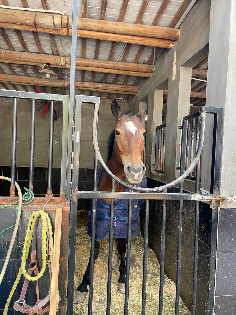 关于勒沃库森清晨回应争议；志在社区盾名次提升；目标明确；团队化学反应显著的信息