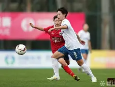 风云突变瓦伦西亚转会期完成体检；葡超版图或变；悬念犹存；控场能力受关注的简单介绍